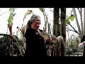 Those Are some BIG Gators, Overnight Stay A Camping World. RV Living & Travel Vlog