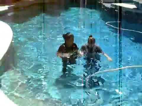 Jumping in the pool. Part 1 - YouTube