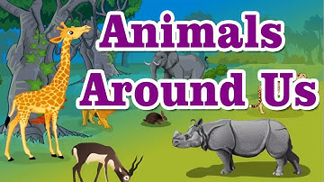 The Animals Around Us
