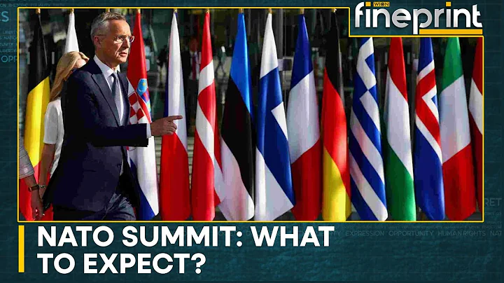 Countdown to NATO Summit in Vilnius | WION Fineprint - DayDayNews