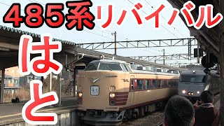 485系団体臨時列車「はと」鹿児島本線リバイバル運行 2014年