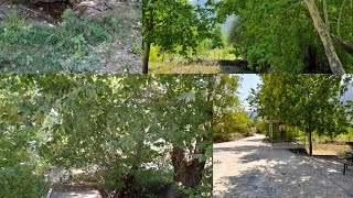 بداية فصل الخريف بتركيا مناظر طبيعية خلابة Oum Alyanur