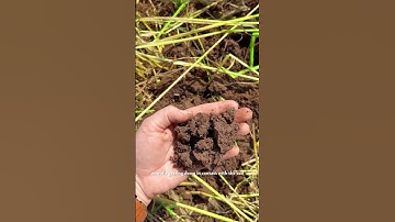 Regenerative Farming Pioneer: Gabe Brown #farming #solar