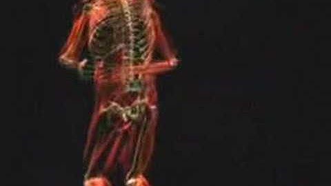 Biomechanics of Life