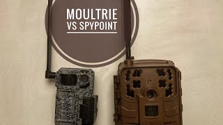 Moultrie vs Spypoint cellular camera review Comparison!