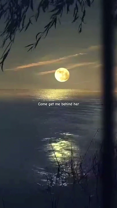 Alan Walker, K-391 & Emelie Hollow - Lily (Lyrics) | Aesthetic #alanwalker #lily #k391