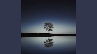 We Are Made Of Stars