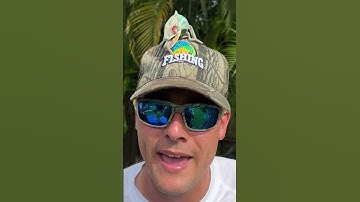 I LOST MY PET CHAMELEON￼