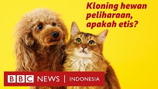 Berminat kloning hewan peliharaan? Siapkan dana Rp798 juta - BBC News Indonesia