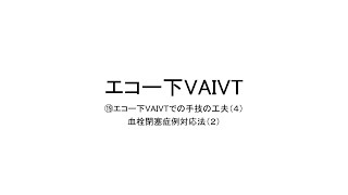 エコー下VAIVT（エコー下VAIVTでの手技の工夫４：血栓閉塞症例対応法（２））