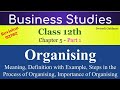 Organising Class 12 Business Studies, Organising Class 12th, Steps in the Process of Organising