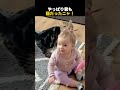やっぱり君も猫だったニャ!