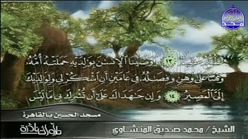 التلاوة التي يبحث عنها الكثيرون 👈 لقمان والسجدة 👉 | لقارئ القلوب : محمد صديق المنشاوي | HD