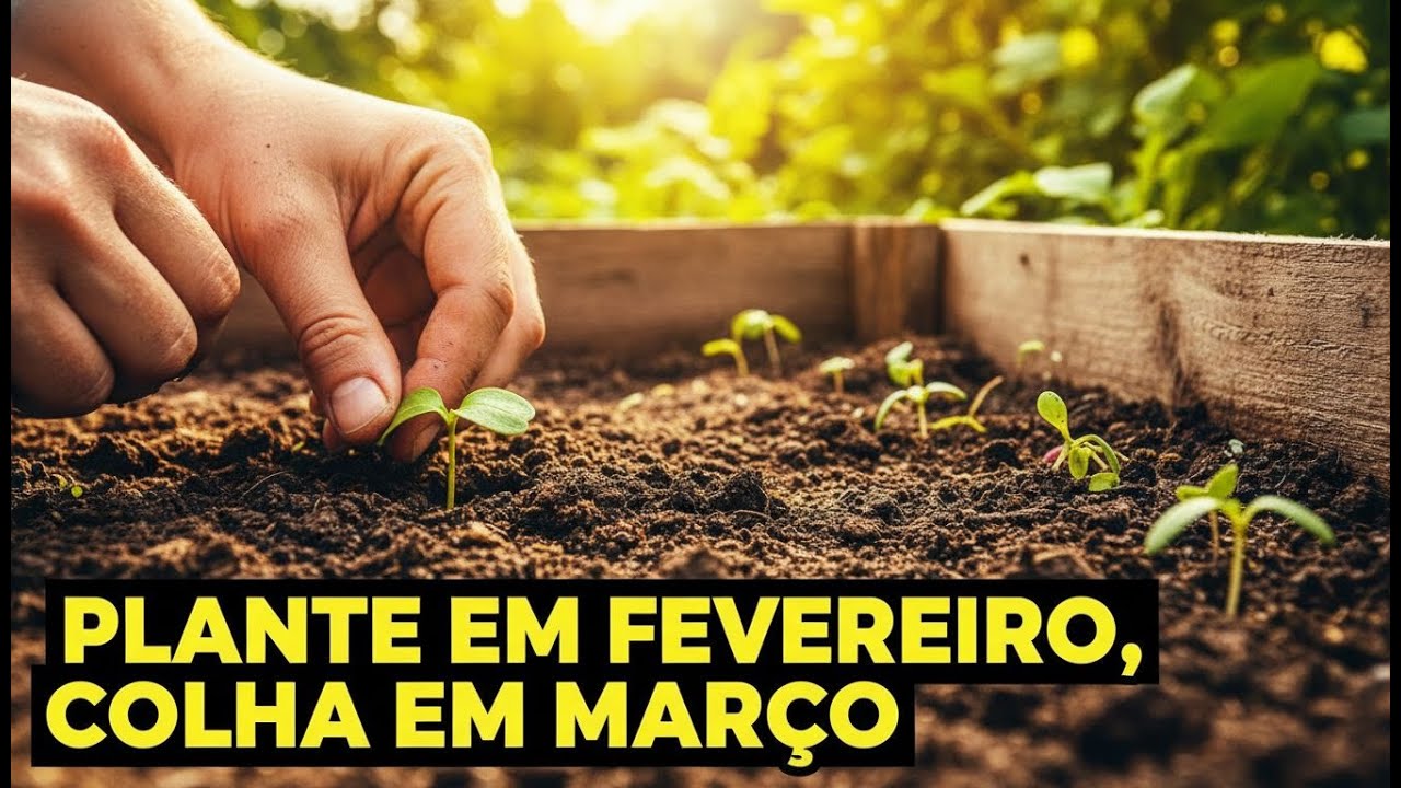 7 Hortaliças Perfeitas Para Plantar em Fevereiro e Colher Rápido