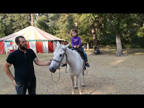 მარო ცხენზე