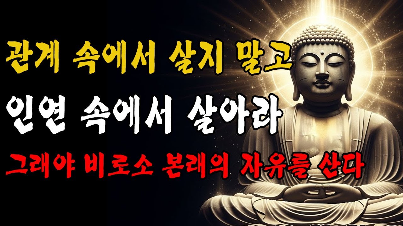 관계의 감옥에서 벗어나라—인연에 맡길 때 비로소 완성되고, 진정한 자유를 산다｜금강경 궁극의 인생 지혜 🪷