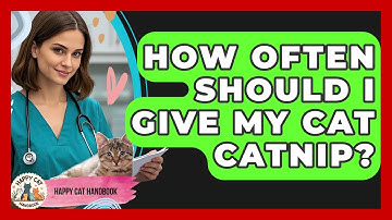How Often Should I Give My Cat Catnip? - Happy Cat Handbook