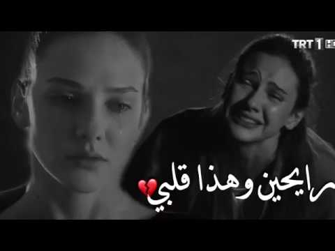 جديد محمد الحلفي رايحين وهذا قلبي   