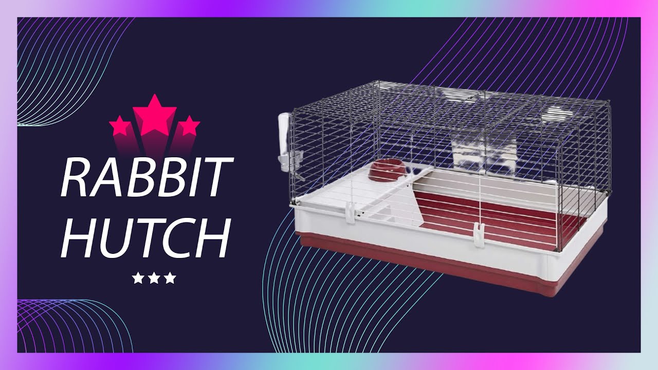 Best Rabbit Hutches Review 2023 | Make Your Selection - YouTube