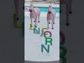 Unicorn - Table ABC - Kids ABC Learning