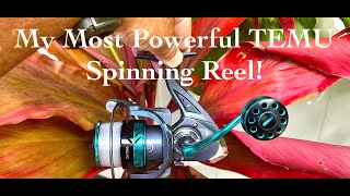 My Most POWERFUL Temu DK Spinning Reel!