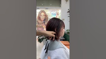 Bob layer+mái thưa