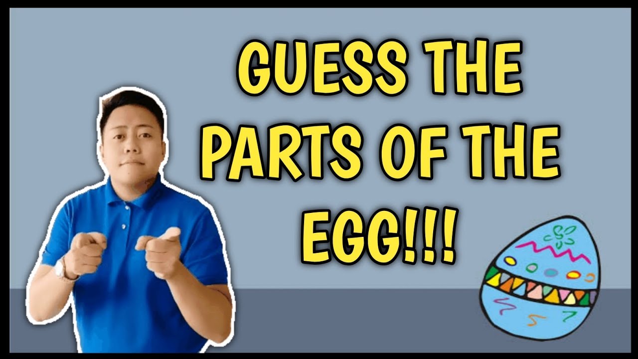 PARTS OF THE EGG - QUIZ 