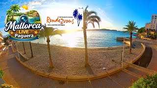 🌞 🌊 Live Webcam Playa Palmira / Rendezvous Garden Paguera |4K 180° #Balearics #Mallorca #Livestream