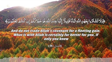 سورة النحل كاملة للقارئ محمد جبريل /  full surah An-Nahl -Muhammad Jibreel