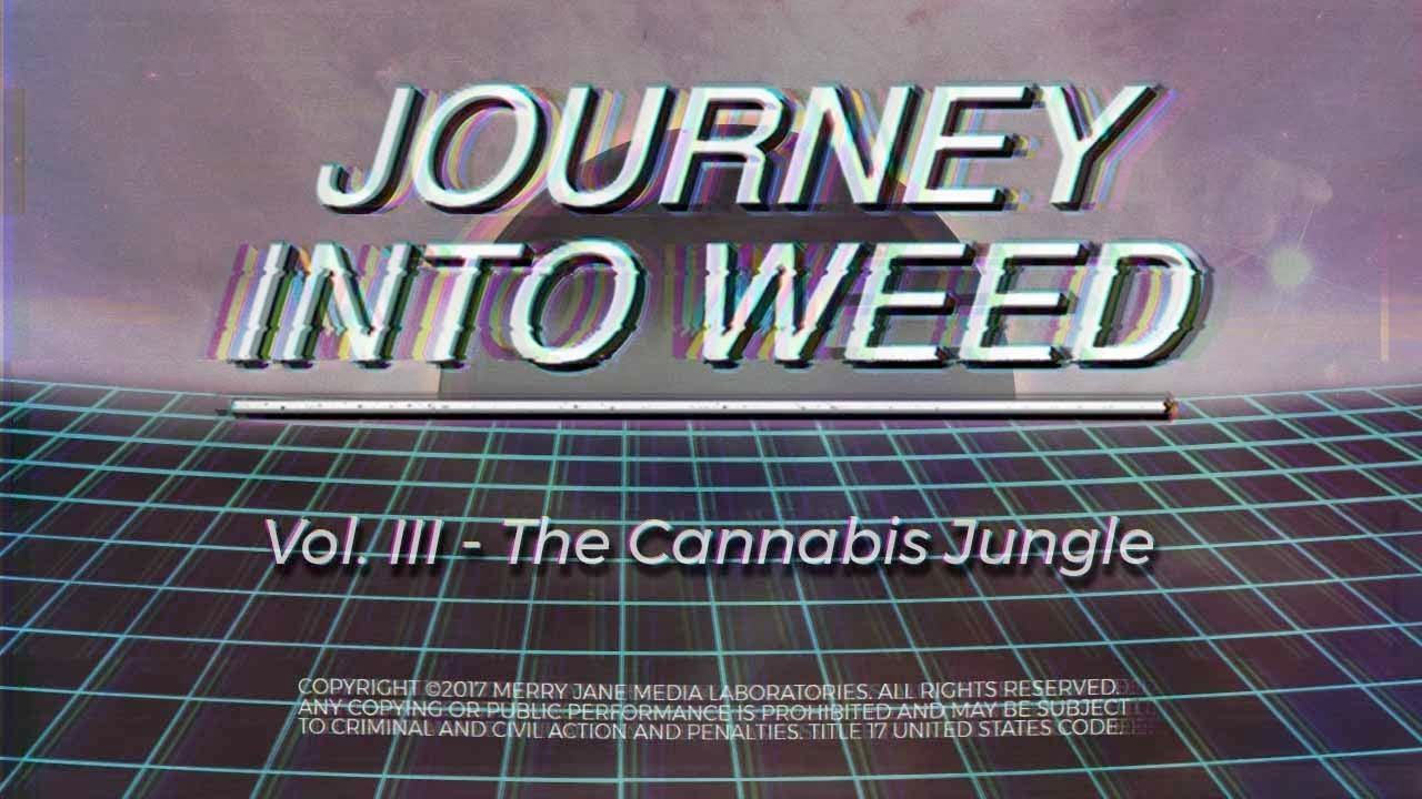mary poppins Vol. III - The Cannabis Jungle | JOURNEY INTO WEED