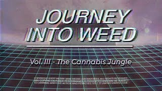 Vol. III - The Cannabis Jungle | JOURNEY INTO WEED