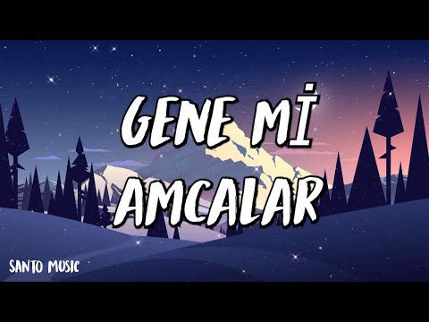 Heijan & Muti - GENE Mİ AMCALAR - (Şarkı sözü / Lyrics)