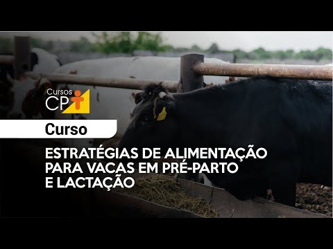 Curso Estratégias de Alimentação para Vacas em Pré-parto e Lactação