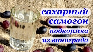 Рецепт самогона из сахара с виноградной подкормкой для дрожжей Рецепт самогона из сахара с виноградной подкормкой для дрожжей