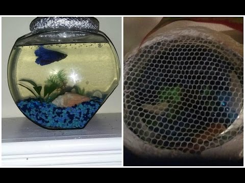 DIY | How to Make a Fish Bowl Lid Cover