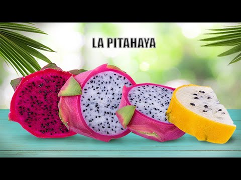 Cómo se come la pitaya