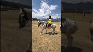 Свободата на седлото 🐎