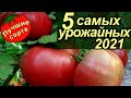 5 САМЫХ УРОЖАЙНЫХ НОВЫХ СОРТОВ ТОМАТОВ 2021 (лучшие сорта томатов)