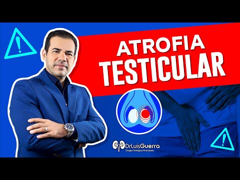 Atrofia testicular | Conoce sus Síntomas y Causas