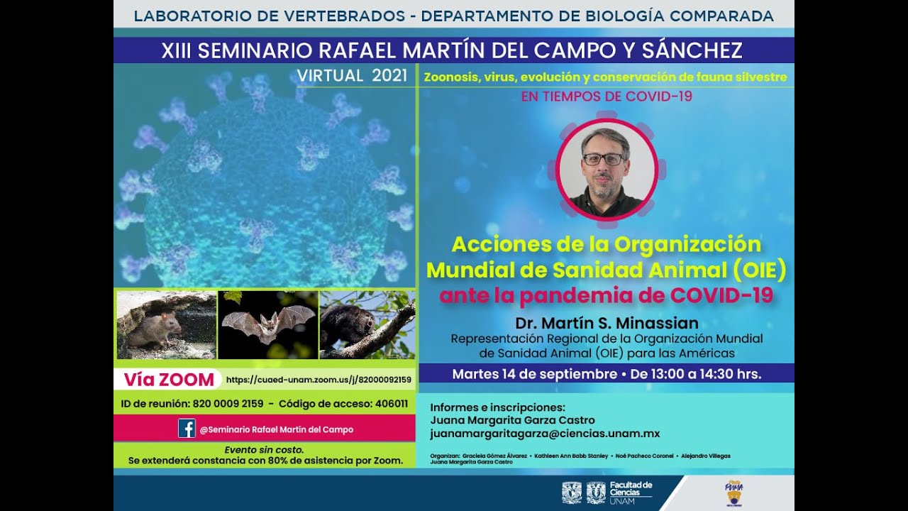 Acciones de la Organización Mundial de Sanidad Animal OIE ante la pandemia  Dr Martín Minassian - YouTube