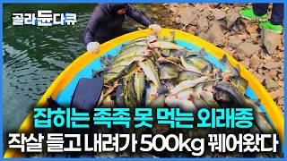 토종어류 다 잡아먹어서 주민들은 진즉 어업 포기했다, 5시간에 300kg나 잡힌 베스｜극한직업｜#골라듄다큐