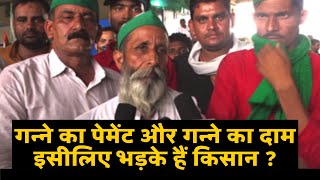 इसलिए भड़के हैं किसान |ganna payment UP|Farmers protest|Ghazipur border |Rakesh tikait |harendra tau