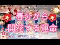 226.eriko耳olacle 👼「春分から開花する運命」🌸✨時代が変わる✨運命も変わる☀️ 祖先からのメッセージも届きました!🌳💕💐