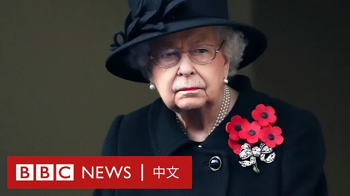 英國王室成員新冠疫情下出席和平紀念日儀式　與會老兵人數銳減 － BBC News 中文 - 天天要聞