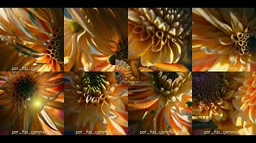 Deforum Animation - *perspective_flip_gamma* comparison