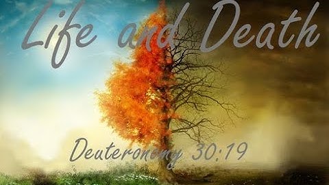 SUY NIỆM - MÙA CHAY, LẶP LẠI CHỌN LỰA CHÚA KITÔ − Lm. Giuse Nguyễn Trọng Sơn