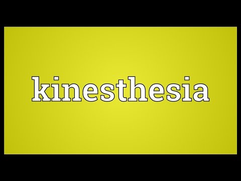 Header of kinesthesia