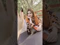Gul Panra New Pashto Songs 2025 Song Gulpanra Gulpanrasong Gul Panra New Pashto Songs 2025 Song Gulpanra Gulpanrasong