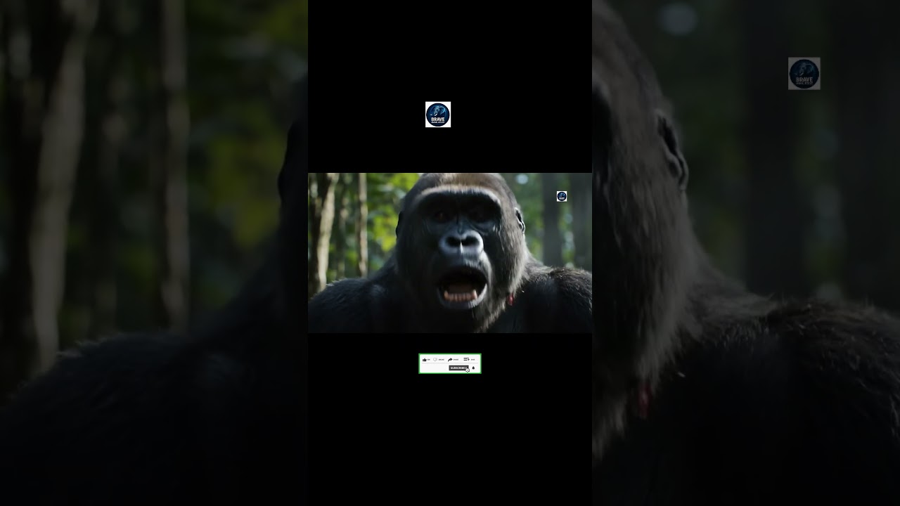 Лидер горилл и его отряд объединяются, чтобы дать отпор браконьерам 