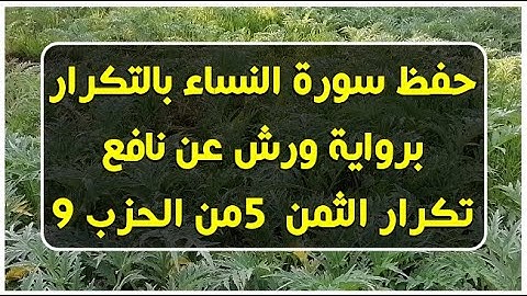حفظ سورة النساء (تكرار الثمن 5 من الحزب 9) بالحدر برواية ورش عن نافع بصوت عمر القزابري